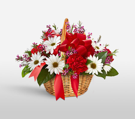 Arcadia-Mixed,Red,Yellow,Carnation,Daisy,Basket