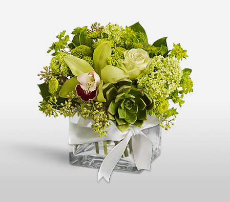 Green Fiesta-Green,Mixed Flower,Orchid,Rose,Arrangement
