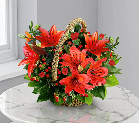 Red Basket-Red,Lily,Carnation,Arrangement,Basket