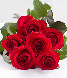 Love Liaison - 6 Red Roses