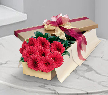 Precious & Priceless-Red,Gerbera,Arrangement