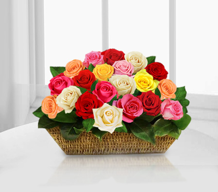 Arco Iris-Mixed,Pink,Red,White,Yellow,Rose,Arrangement,Basket