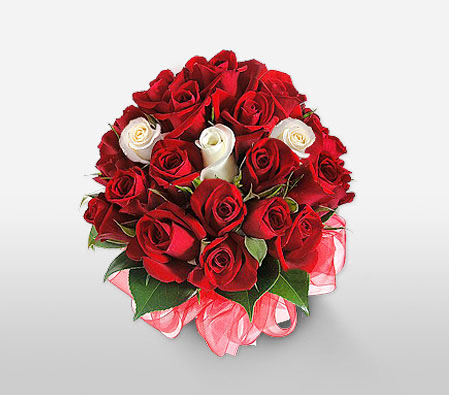 Gleaming Affair-Red,White,Rose