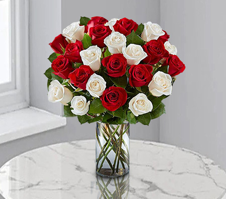 Seductive Roses-Red,White,Rose,Arrangement