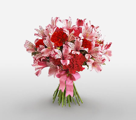 Milano-Pink,Red,Carnation,Mixed Flower,Bouquet