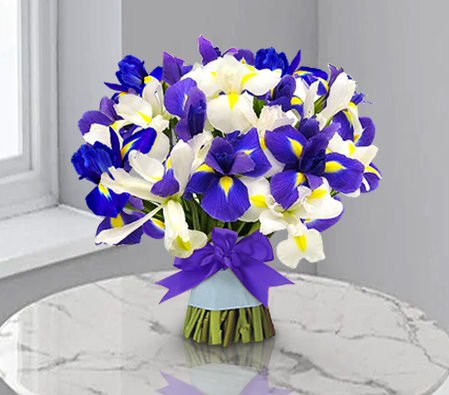 Ocean Shine - Blue & White Iris-Blue,White,Iris,Bouquet