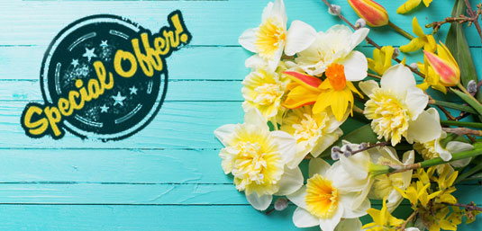 Send Handcrafted flowers and gifts in Hong Kong