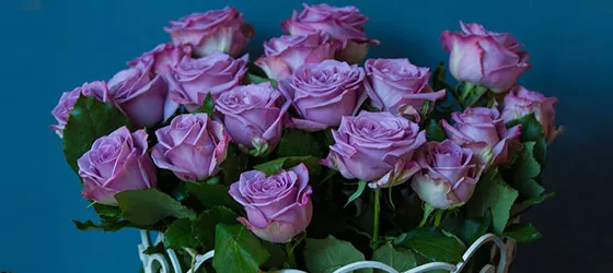 Fine Roses of the World